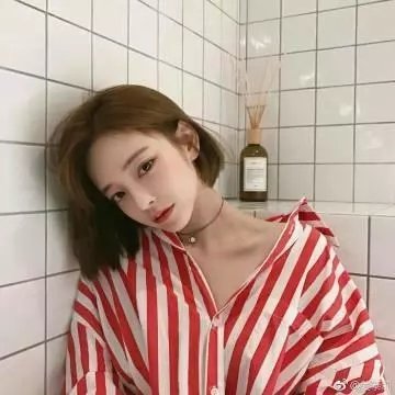 牢笼的熊