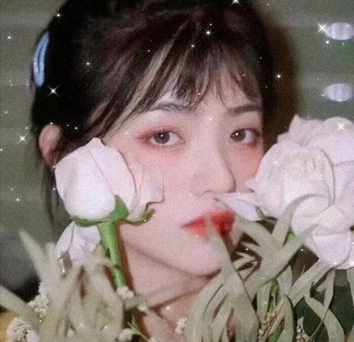 蝙蝠女侠第三季